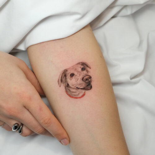 Screenshot 2025-11-06 (17.35.44)