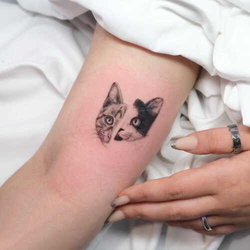 Screenshot 2025-11-06 (17.37.50)